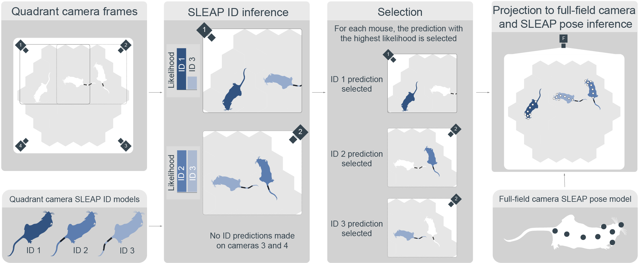 multi-animal-tracking